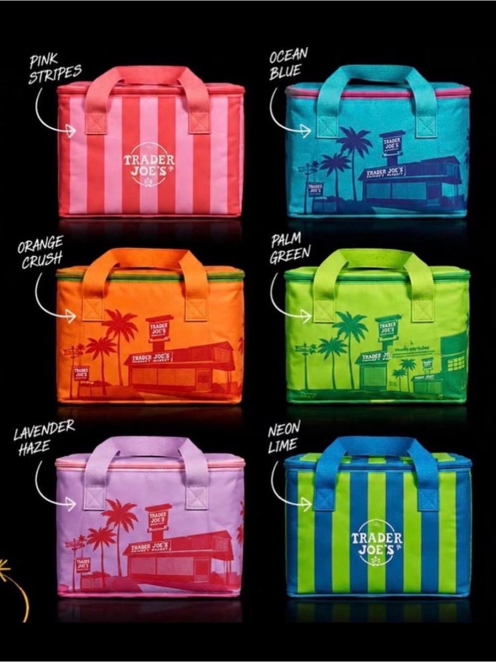 Trader Joe's mini insulated lunch bag collection